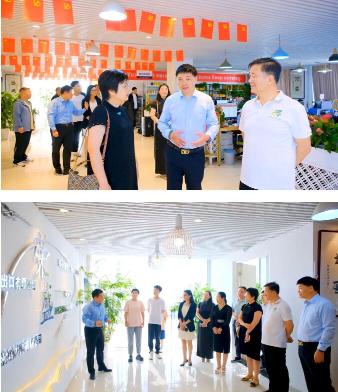2025年澳门免费原料网